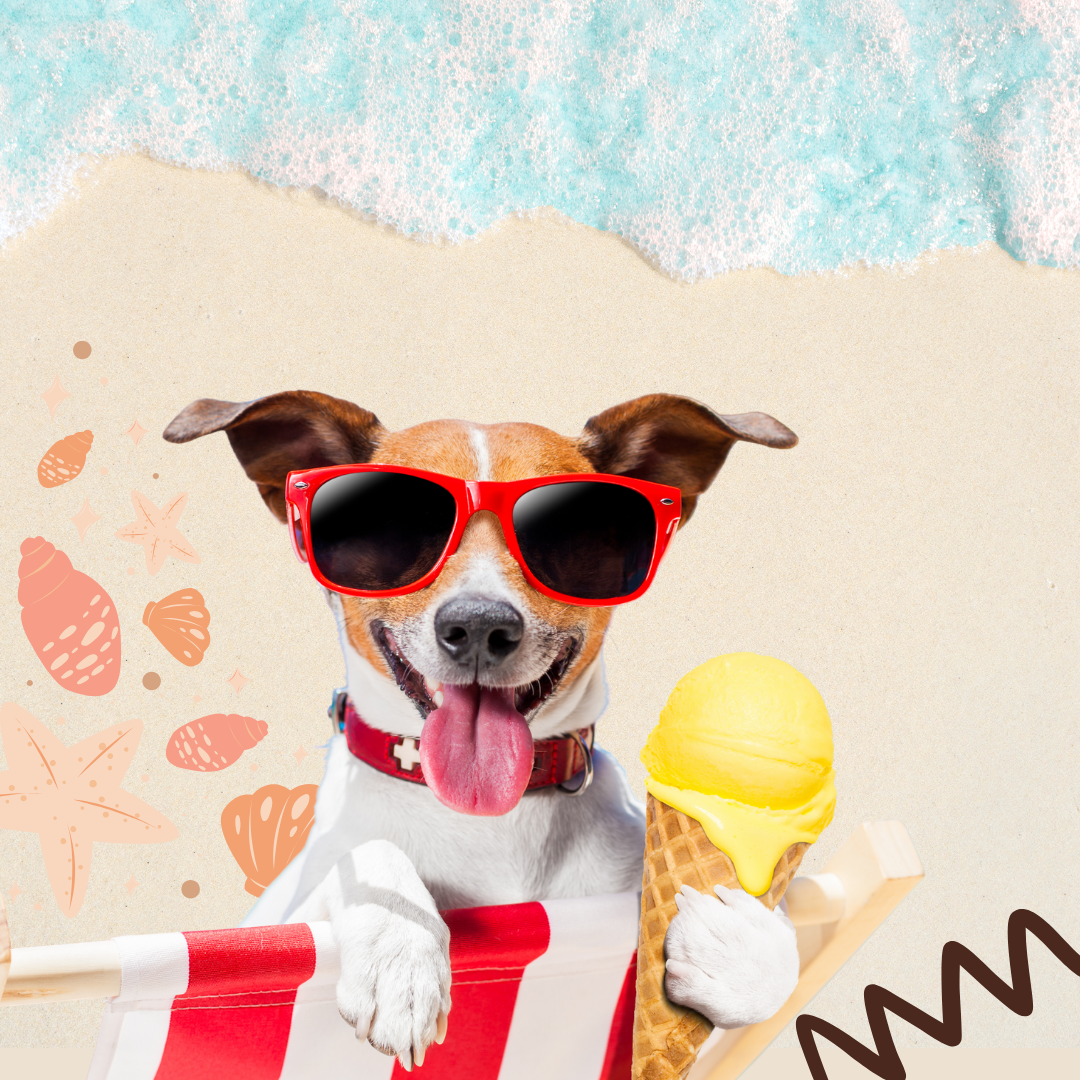 Artículos de Verano para Mascotas